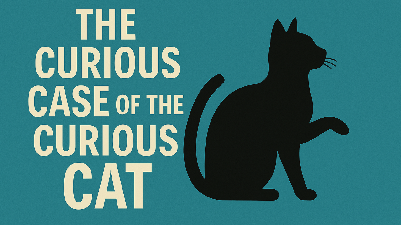 Curiosity Killed the Cat Full Quote: betekenis, uitleg en populaire interpretaties in Nederland
