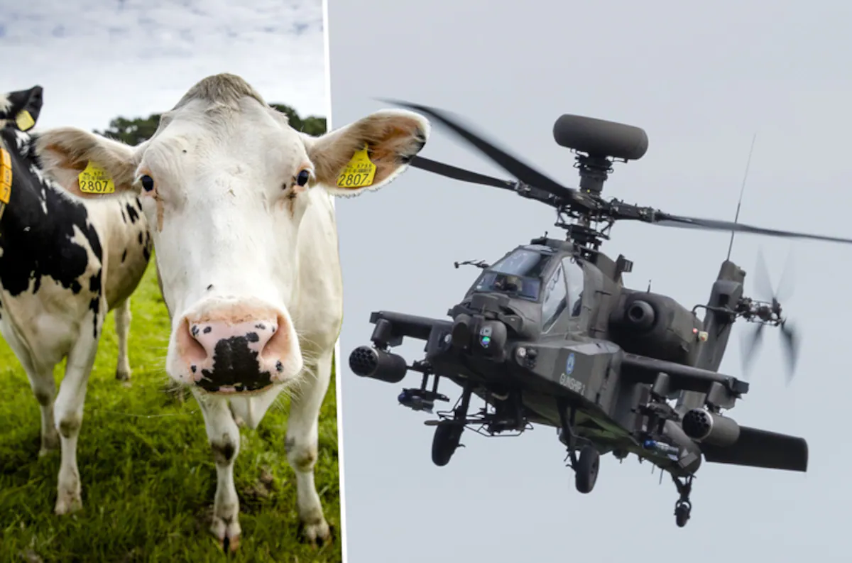 Helikopter boven Dieren vandaag wat is er aan de hand