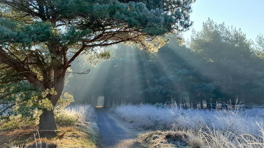 Wat is de Gevoelstemperatuur Vandaag (25 December)