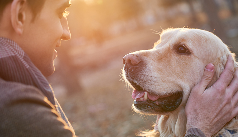 Waarom trilt mijn hond? Dit zijn de meest voorkomende oorzaken