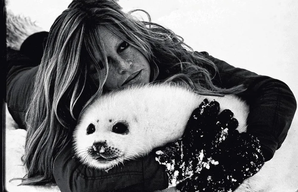Brigitte Bardot Vermogen (2026)