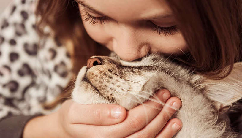 Waarom likken katten mensen in 2026?