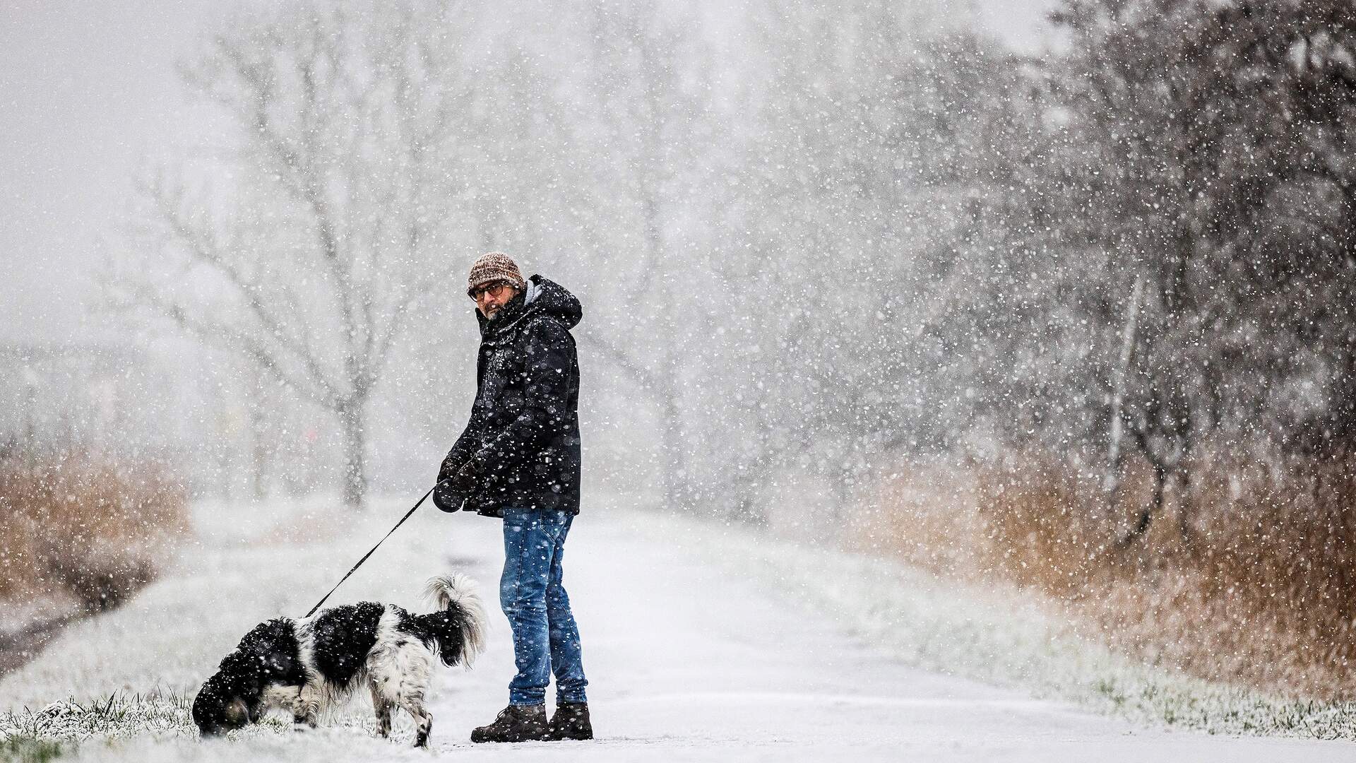 Weer Lahey 3 januari 2026 temperatuur, neerslag, sneeuw, regenradar, windverwachting, weersvoorspelling Den Haag