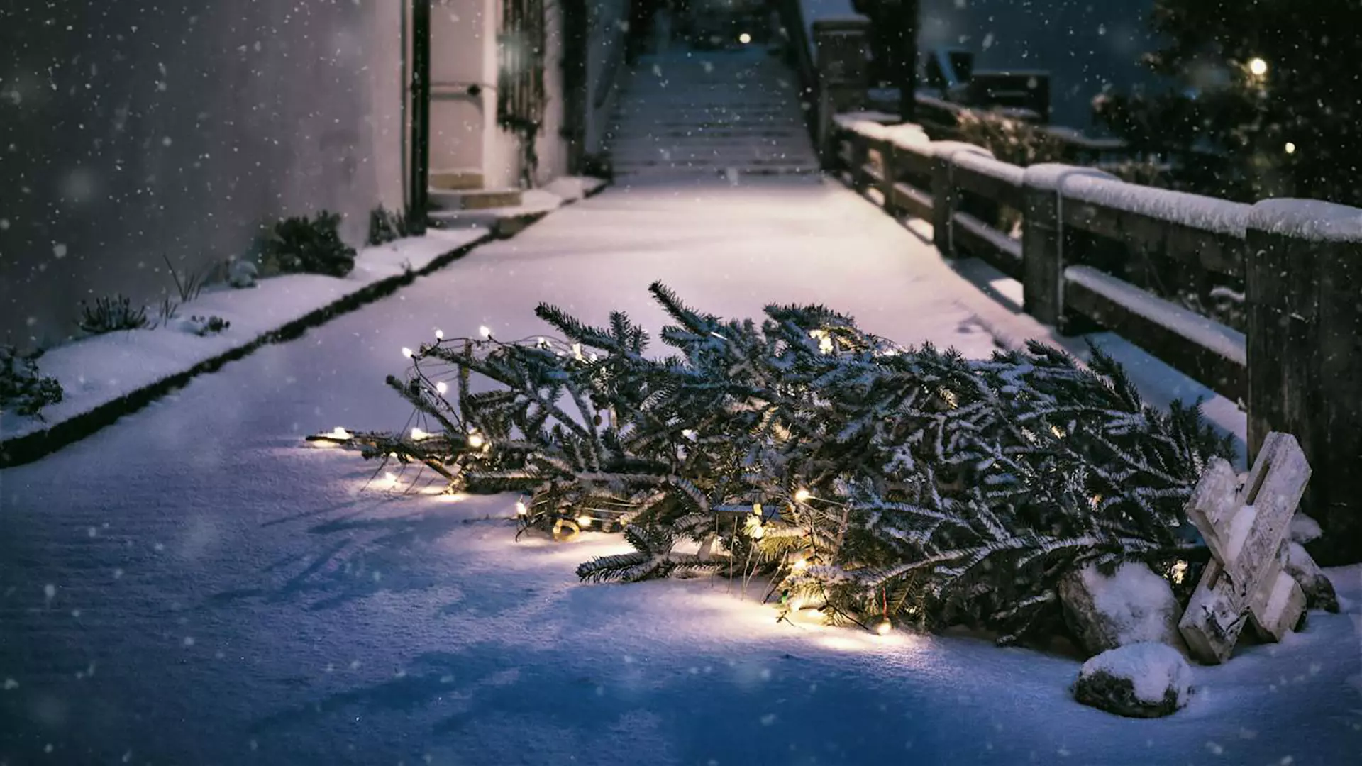 Tot wanneer kerstboom laten staan? Tips voor Nederlandse huishoudens