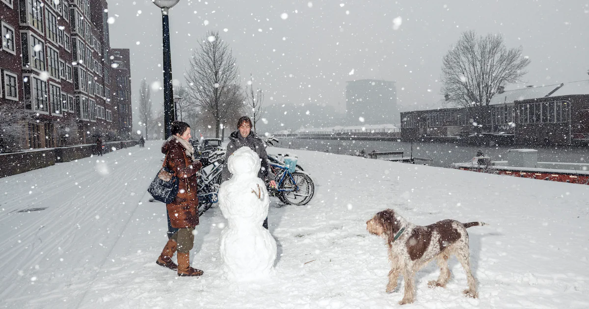 Woensdag chaos door sneeuw in januari 2026