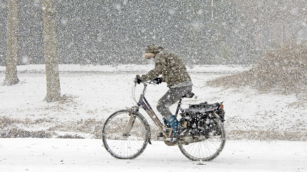 Veel sneeuw woensdag 6 januari 2026 zorgt voor een andere dag