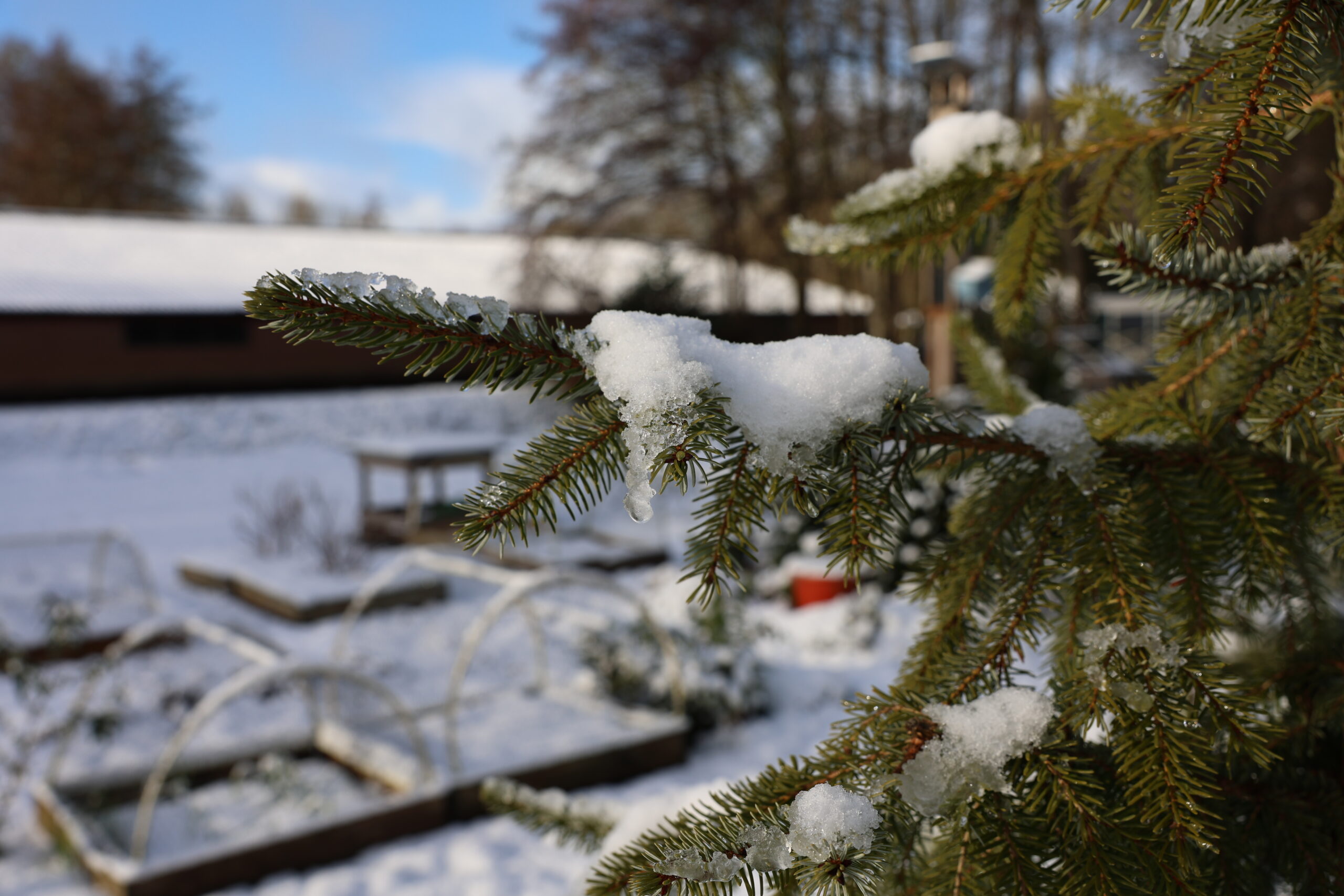 Weersverwachting dinsdag 7 januari 2026: zo bereiden Nederlanders zich voor
