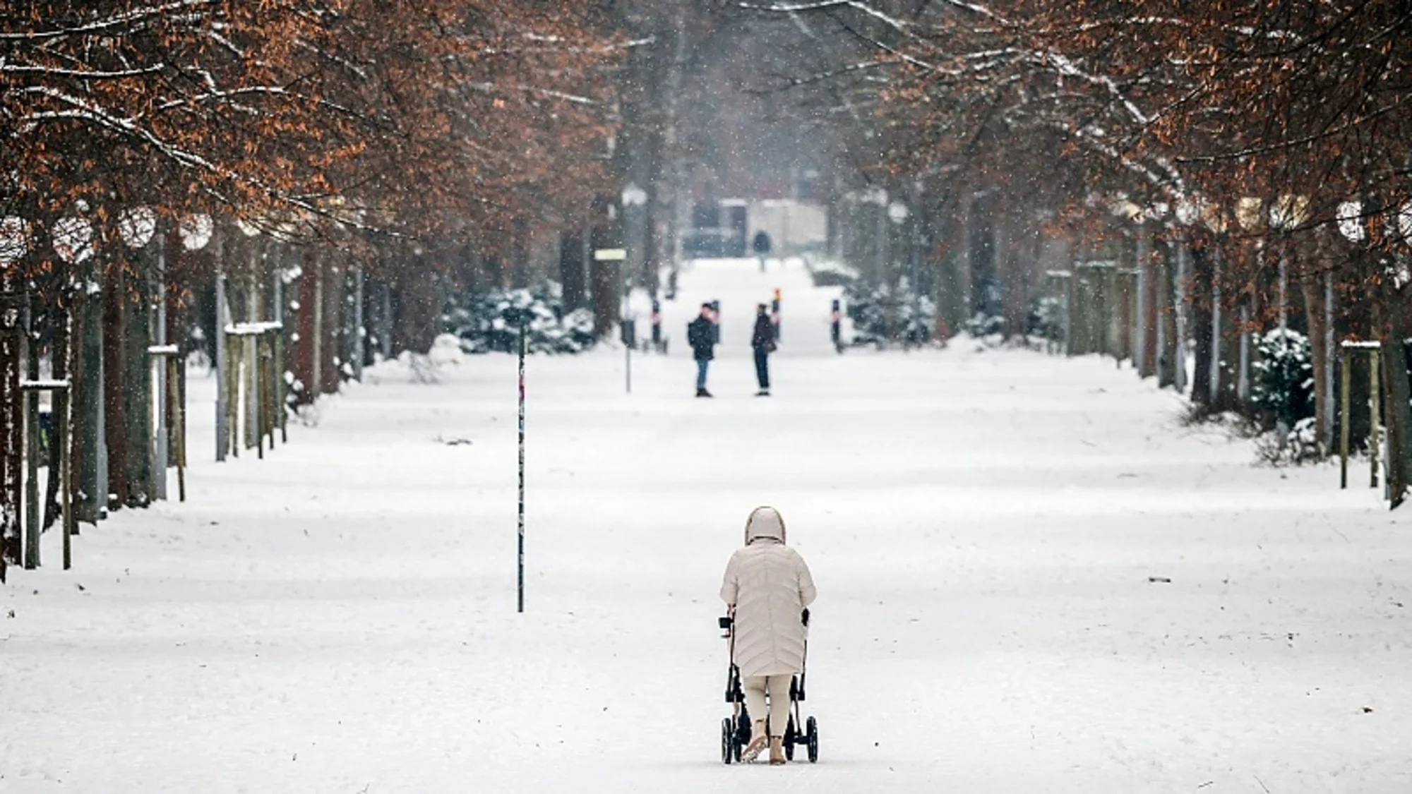 Sneeuwstorm woensdag 7 januari 2026: zo ervaren Nederlanders het