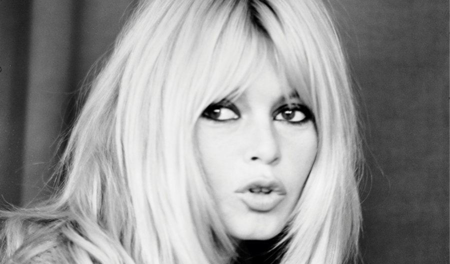 Brigitte Bardot, echtgenoot en zoon, wat Nederlanders willen weten