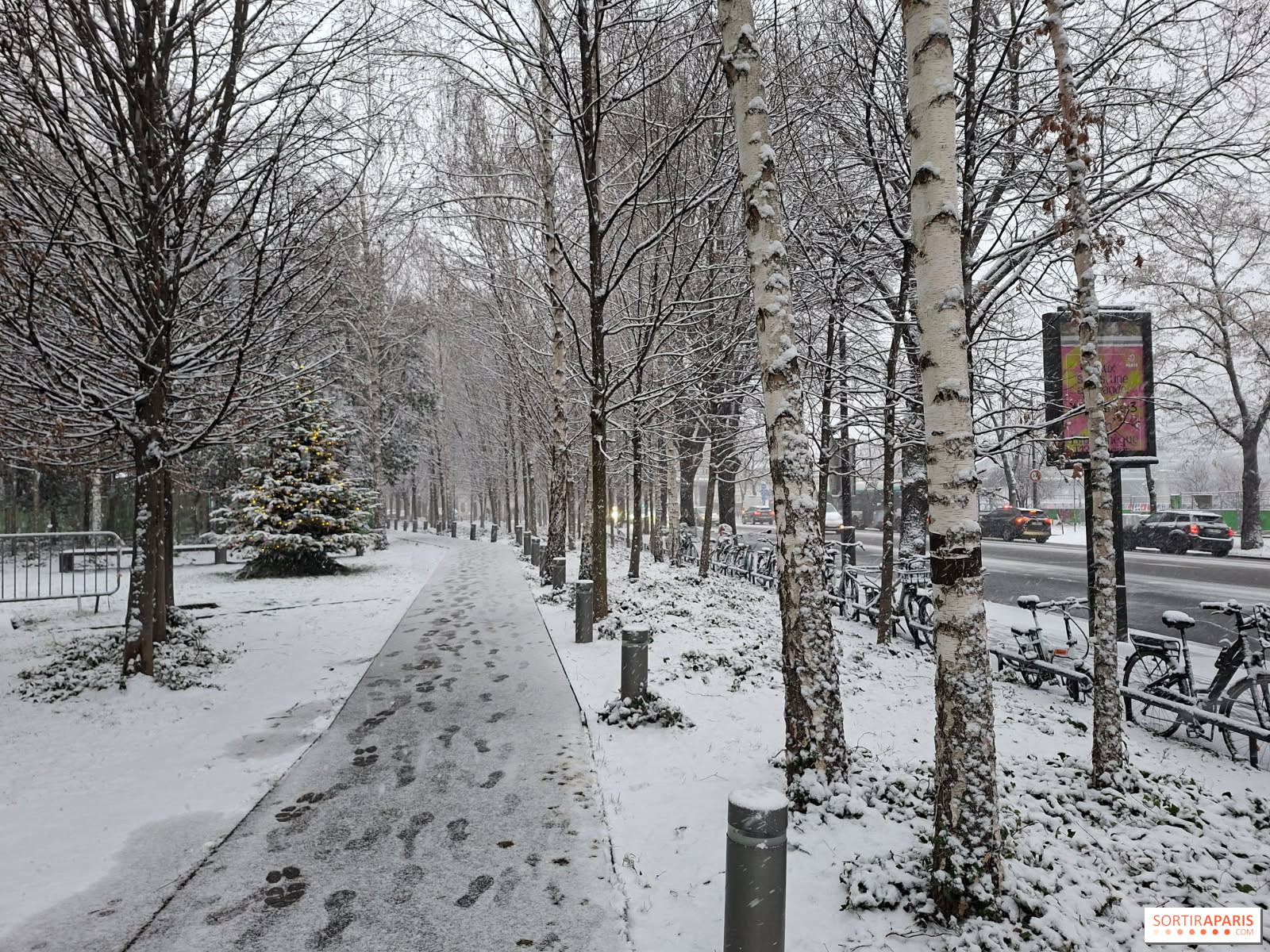 Veel sneeuw woensdag 8 januari 2026 zo ervaren Nederlanders het