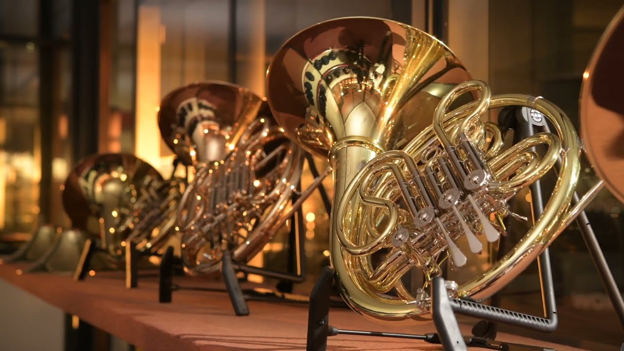 Wat kost een hoorn muziekinstrument 2026? Prijzen en merken