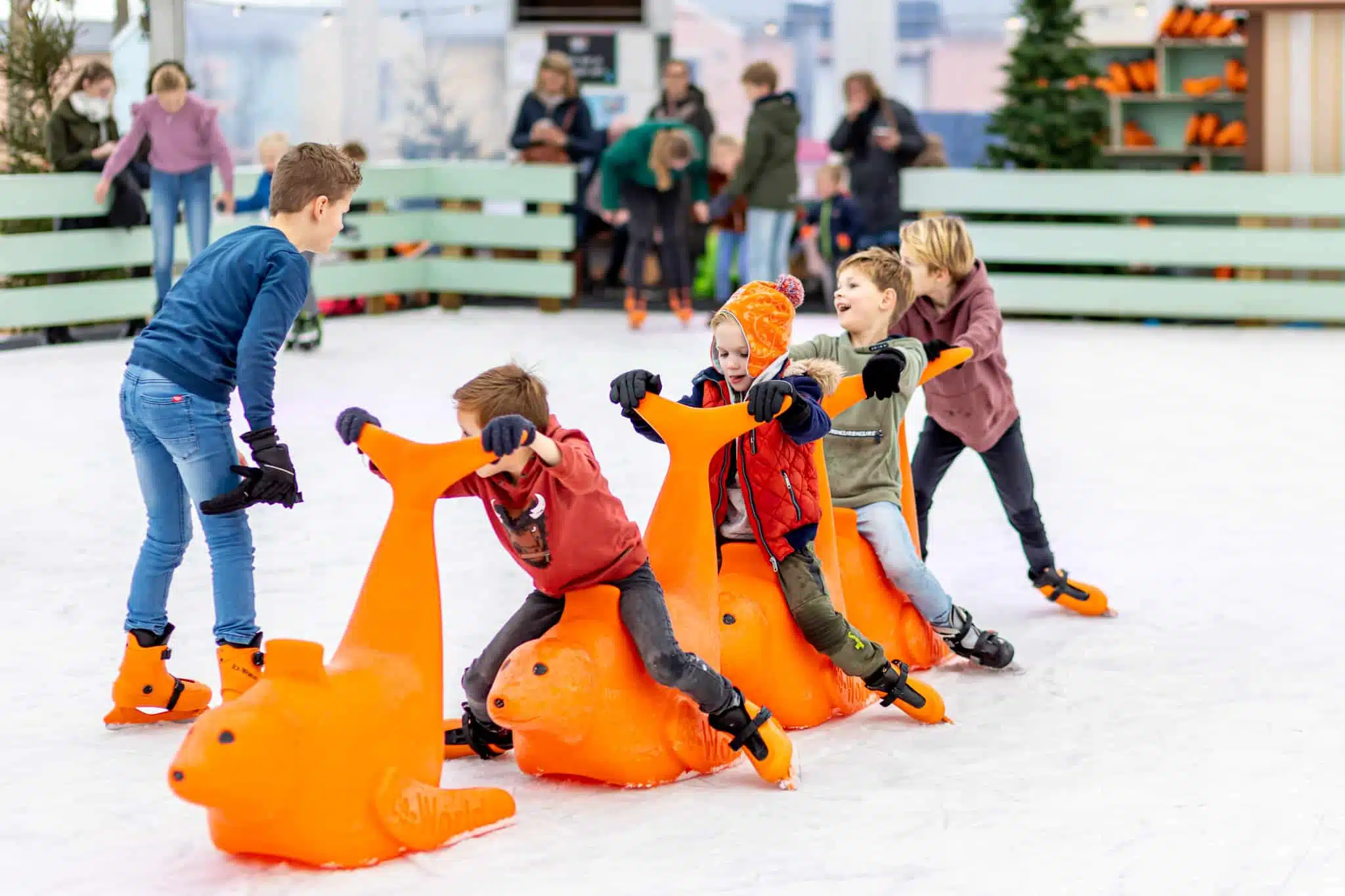 Schaatsen 25 januari ijsbanen en natuurijs