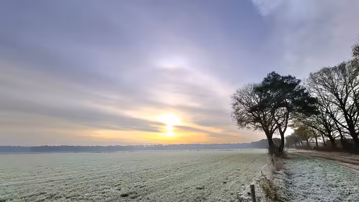 Hoe warm is het op 28 januari 2026 in Nederland?