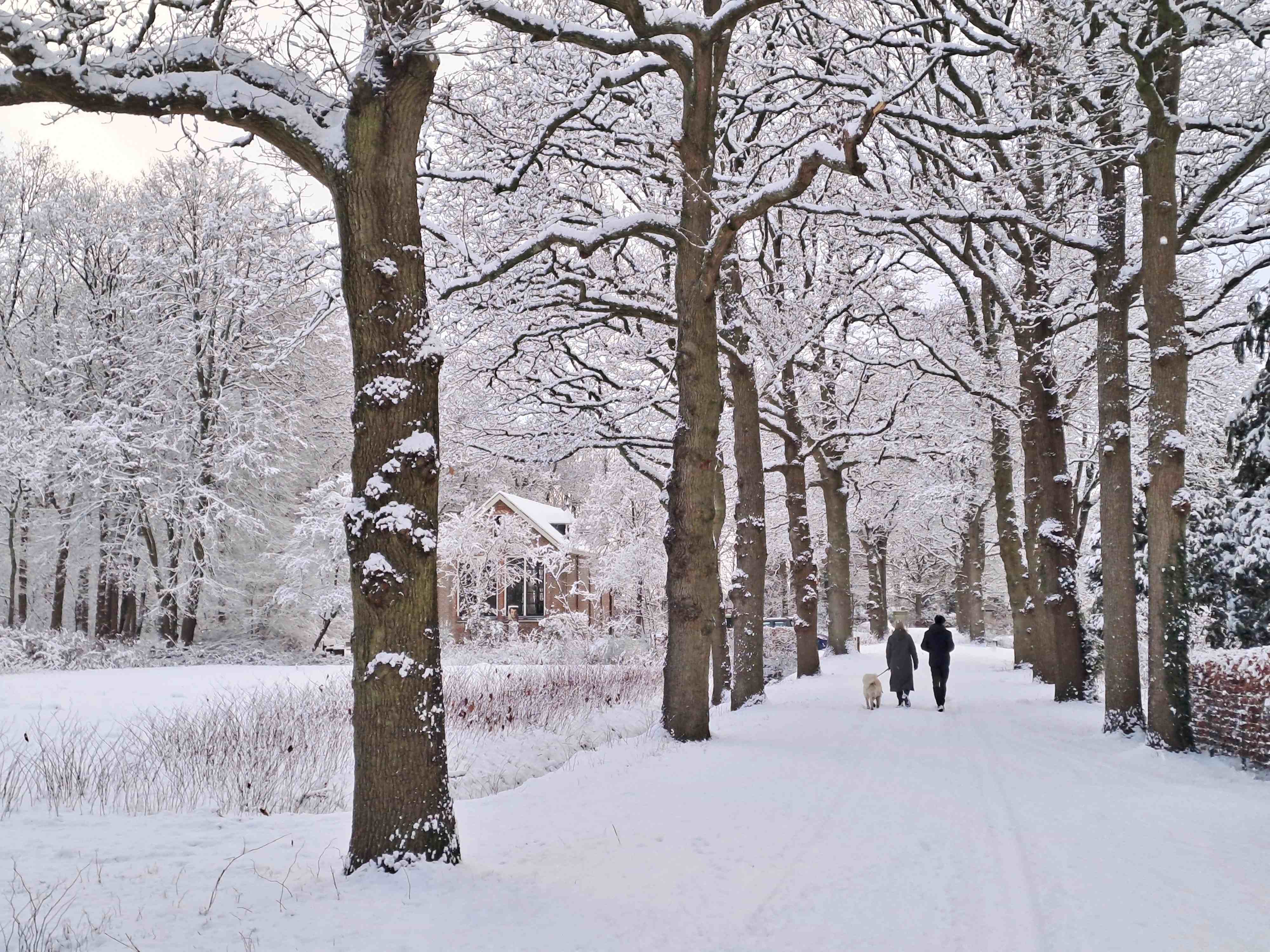Sneeuwverwachting Nederland 29 januari 2026