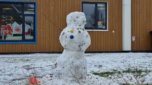 Sneeuwverwachting donderdag 29 januari in Nederland