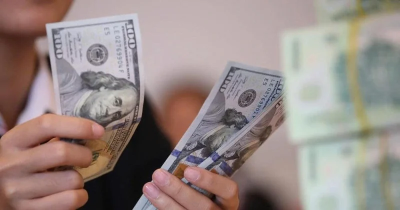 Dollar in vrije val 31 januari 2026 koers daalt