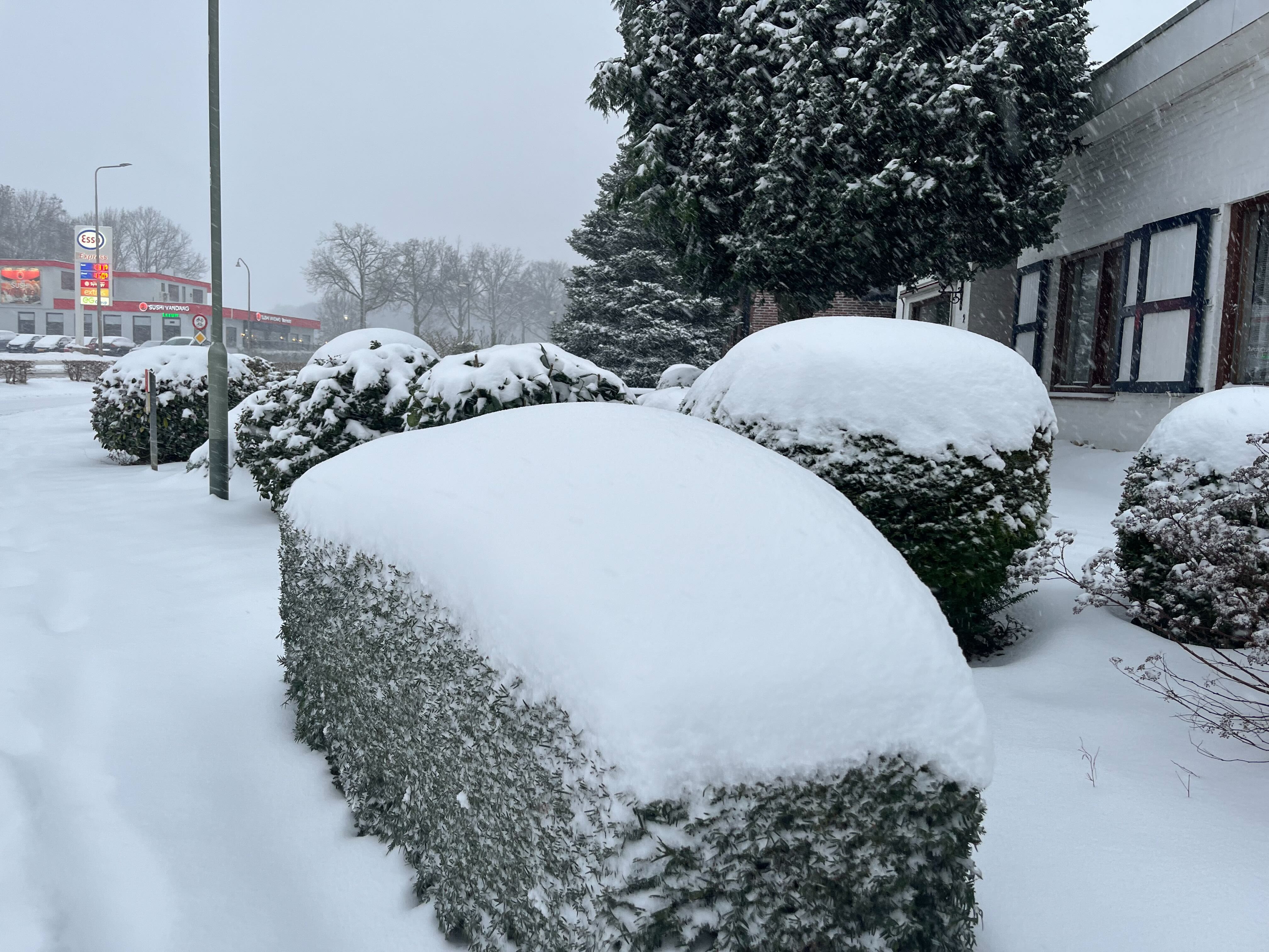 Sneeuw- en ijswaarschuwing 1 feb 2026