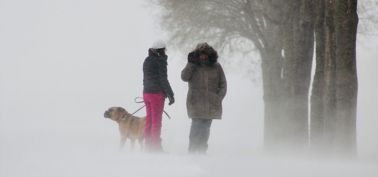 Wanneer wordt het weer warm in Nederland 2026?