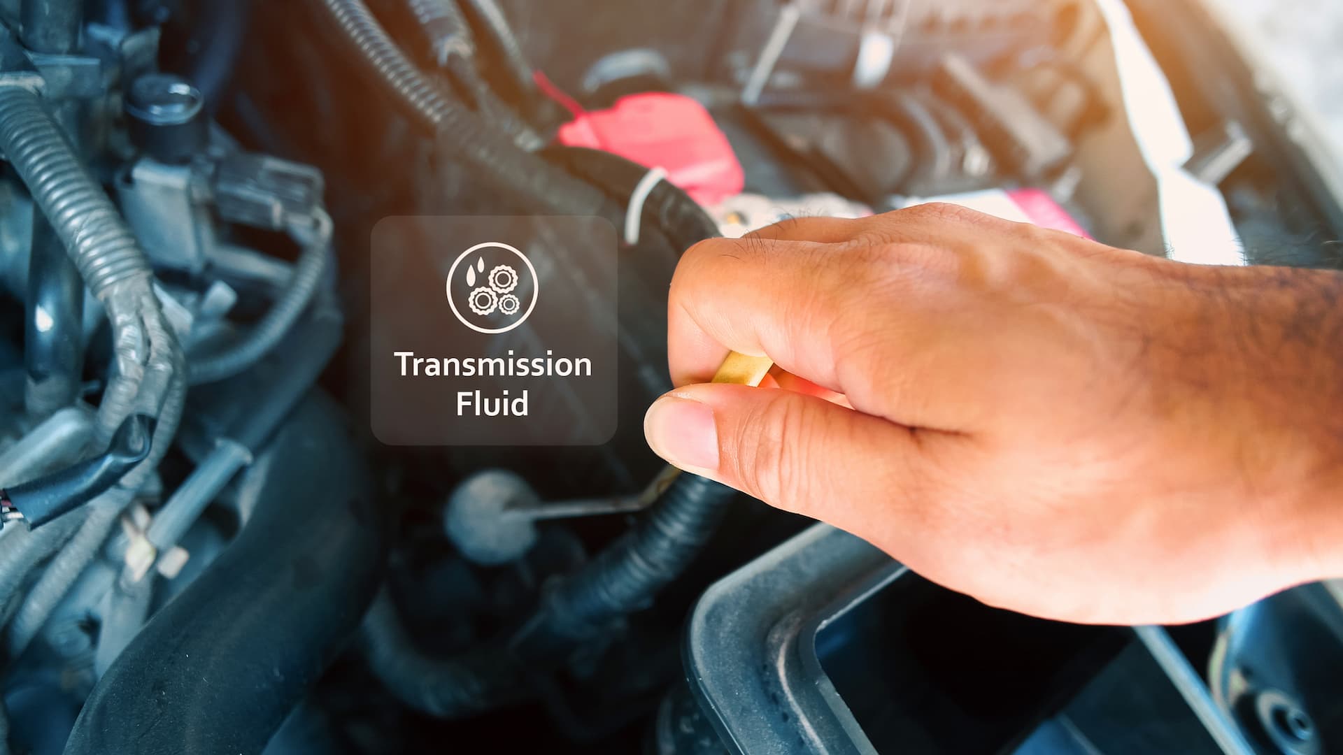 How to check transmission fluid snel en veilig