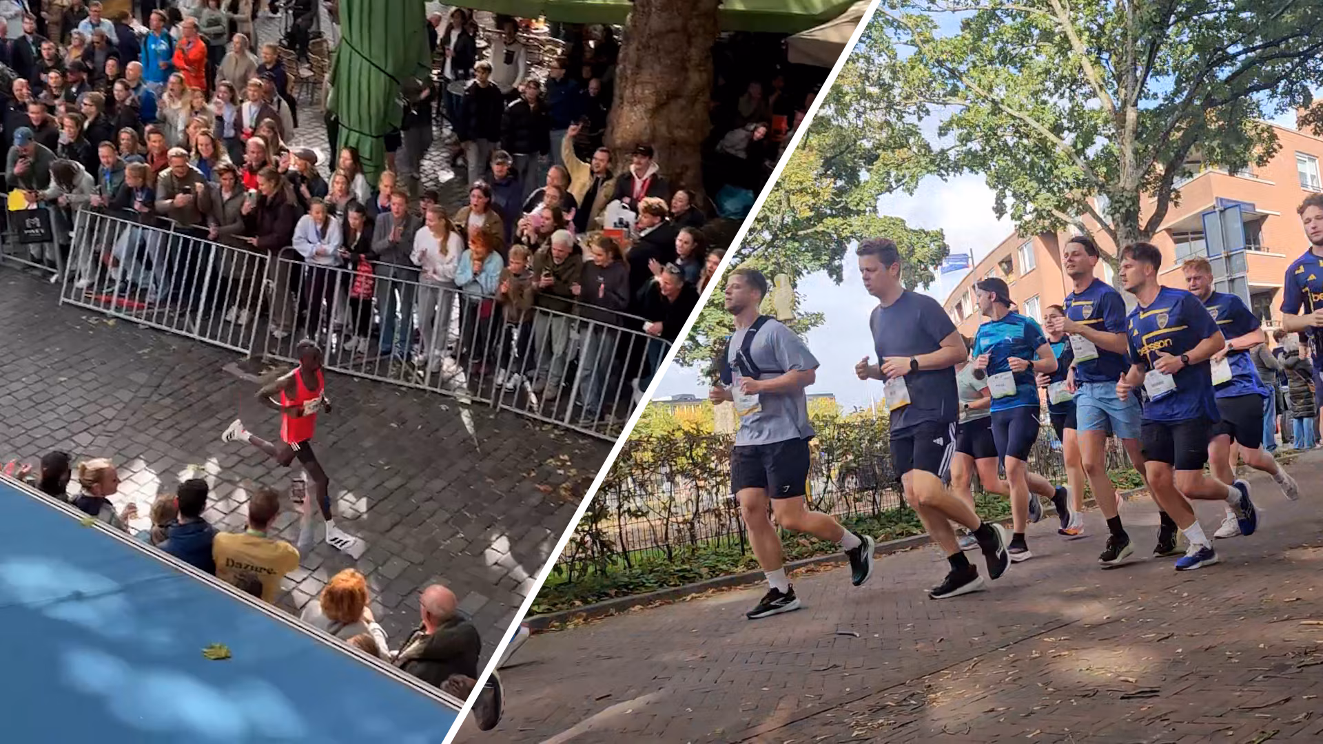 Singelloop Breda 2026 datum, parcours en inschrijving