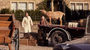 All Creatures Great and Small seizoen 6 release cast trailer