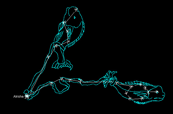 Wat Is De Latijnse Benaming Voor Het Sterrenbeeld Vissen Pisces