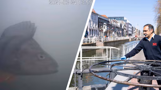 Visdeurbel Utrechtse Sluis Start 2 Maart 2026 Migratie