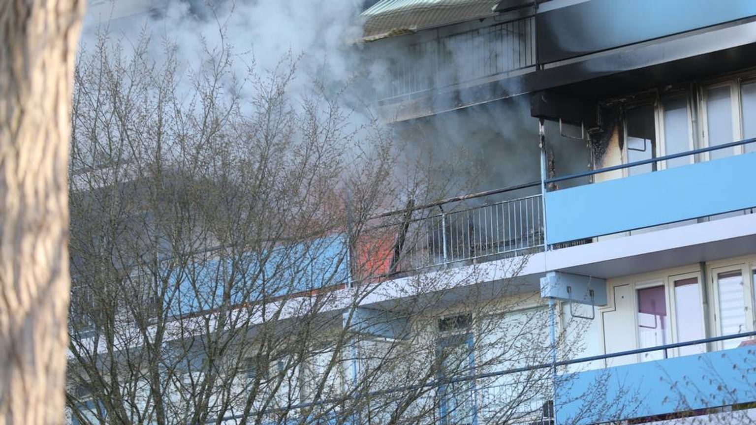 Brand Bergen Op Zoom Vandaag Rook En Inzet