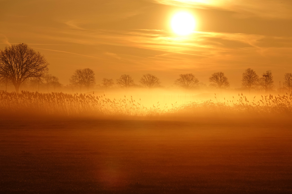 Hoe Warm Wordt Het Vandaag 3 Maart Weer NL