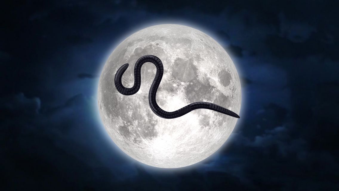 Volle Maan Bloed 5 Maart 2026: Bloedmaan En Maansverduistering