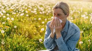 Hooikoorts symptomen 2026 herken de eerste tekenen van pollenallergie