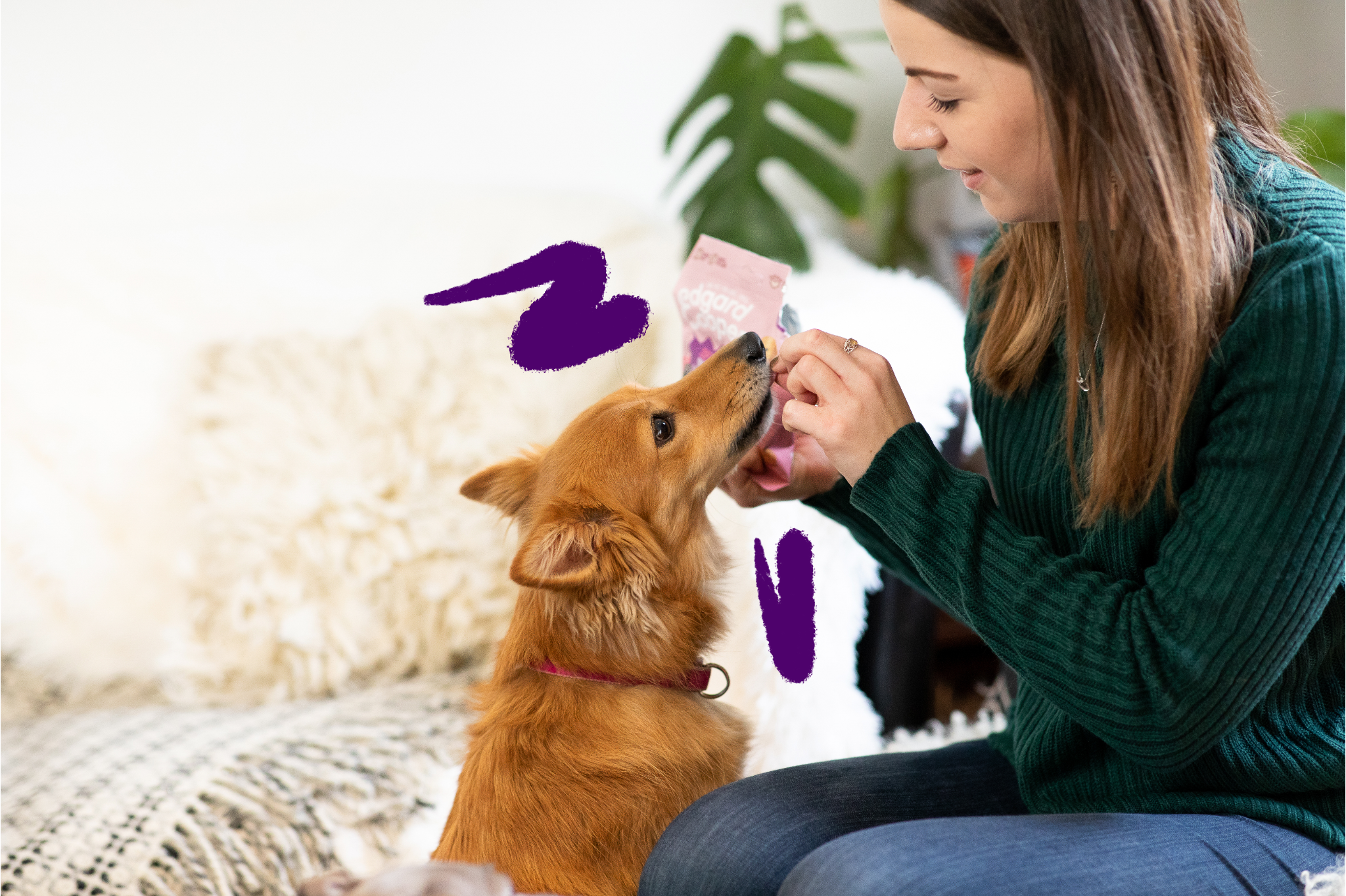 Daar Komt Het Wel Goed Met De Hond Betekenis Van De Puzzelzin