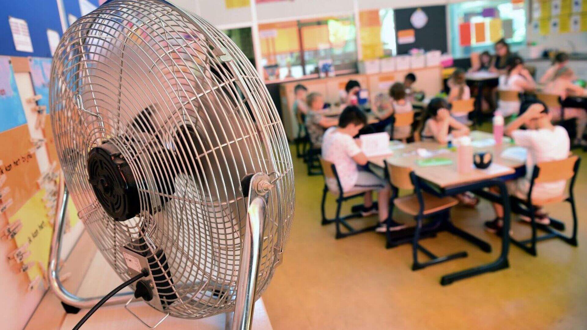 Wanneer Tropenrooster op School? Dit Is Wat Ouders en Leerlingen Willen Weten